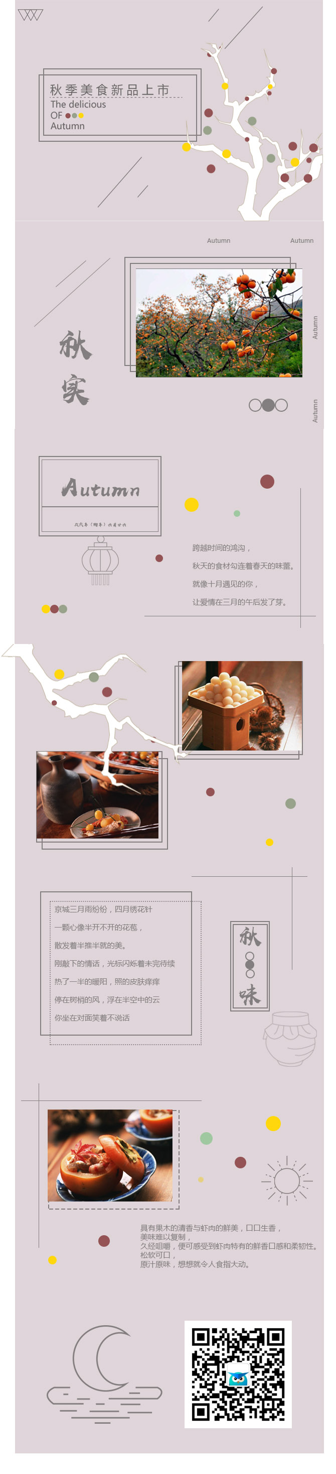 设计师模板展示图