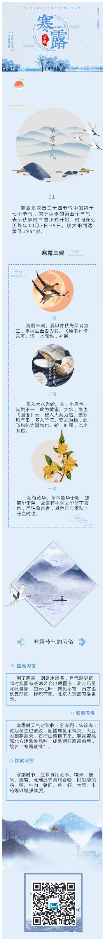 设计师模板展示图